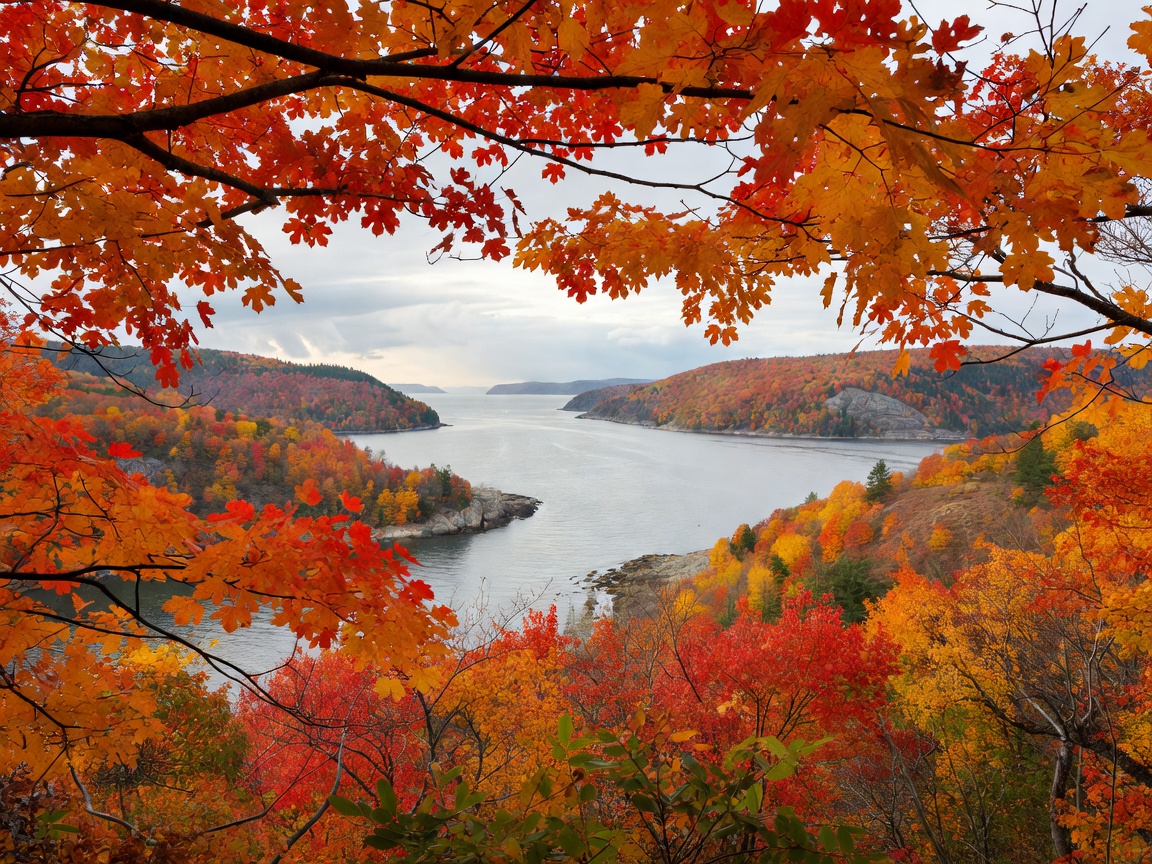 Autumn foliage overlooking a coastal inlet